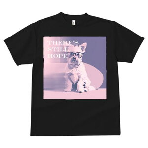 EGXgnChzCgeA TVc  j[NfUCfB[X t@  t vg lJWA 킢 lԗp Mtg I ҏ΍ Kl EGXgnC