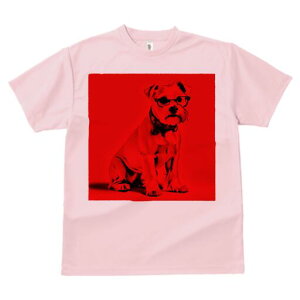 ~j`AViEU[ TVc  j[NfUCfB[X t@  t vg lJWA 킢 lԗp Mtg I ҏ΍ Kl ~j`AViEU[ 