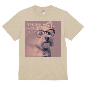 EGXgnChzCgeA TVc  j[NfUCY LbY t@  t vg lJWA 킢 lԗp Mtg I ҏ΍ Kl EGXgn