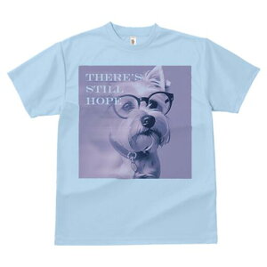 EGXgnChzCgeA TVc  j[NfUCY LbY t@  t vg lJWA 킢 lԗp Mtg I ҏ΍ Kl EGXgn