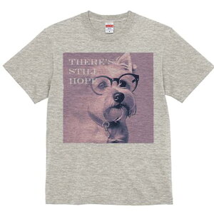 EGXgnChzCgeA TVc  j[NfUCfB[X t@  t vg lJWA 킢 lԗp Mtg I ҏ΍ Kl EGXgnC