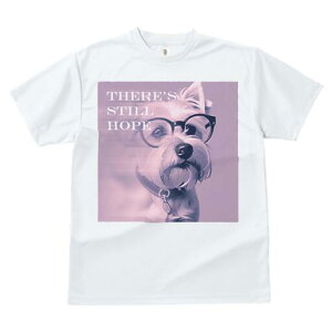 EGXgnChzCgeA TVc  j[NfUCfB[X t@  t vg lJWA 킢 lԗp Mtg I ҏ΍ Kl EGXgnC