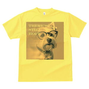 EGXgnChzCgeA TVc  j[NfUCfB[X t@  t vg lJWA 킢 lԗp Mtg I ҏ΍ Kl EGXgnC