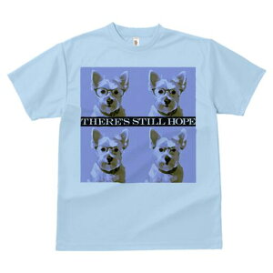 EGXgnChzCgeA TVc  j[NfUCfB[X t@  t vg lJWA 킢 lԗp Mtg I ҏ΍ Kl EGXgnC