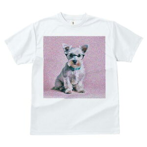 ~j`AViEU[ TVc  j[NfUCfB[X t@  t vg lJWA 킢 lԗp Mtg I ҏ΍ Kl ~j`AViEU[