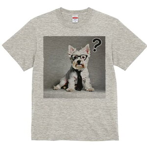 EGXgnChzCgeA TVc  j[NfUCY LbY t@  t vg lJWA 킢 lԗp Mtg I ҏ΍ lN^C EGXg