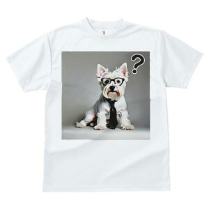 EGXgnChzCgeA TVc  j[NfUCfB[X t@  t vg lJWA 킢 lԗp Mtg I ҏ΍ lN^C EGXgnC