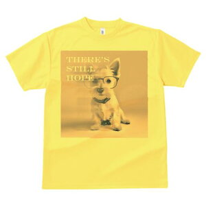 EGXgnChzCgeA TVc  j[NfUCY LbY t@  t vg lJWA 킢 lԗp Mtg I ҏ΍ Kl EGXgn