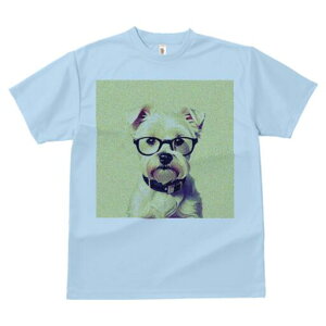 [NV[eA TVc  j[NfUCfB[X t@  t vg lJWA 킢 lԗp Mtg I ҏ΍ Kl [NV[eA 