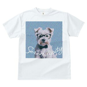 EGXgnChzCgeA TVc  j[NfUCfB[X t@  t vg lJWA 킢 lԗp Mtg I ҏ΍ Kl EGXgnC