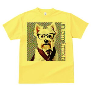 EGXgnChzCgeA TVc  j[NfUCfB[X t@  t vg lJWA 킢 lԗp Mtg I ҏ΍ Kl EGXgnC