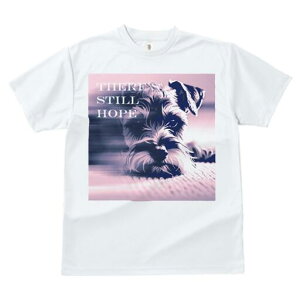 ~j`AViEU[ TVc  j[NfUCfB[X t@  t vg lJWA 킢 lԗp Mtg I ҏ΍ ~j`AViEU[