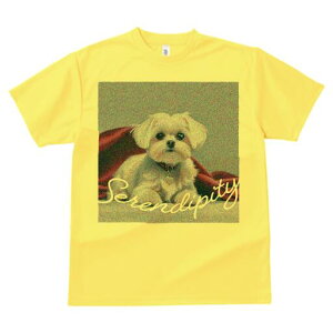 }`[Y TVc  j[NfUCfB[X t@  t vg lJWA 킢 lԗp Mtg I ҏ΍ }`[Y