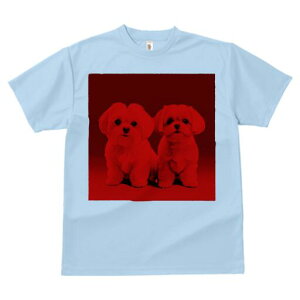 }`[Y TVc  j[NfUCfB[X t@  t vg lJWA 킢 lԗp Mtg I ҏ΍ }`[Y