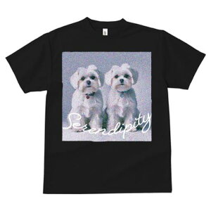 }`[Y TVc  j[NfUCfB[X t@  t vg lJWA 킢 lԗp Mtg I ҏ΍ }`[Y