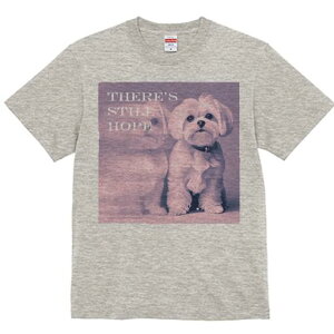 }`[Y TVc  j[NfUCfB[X t@  t vg lJWA 킢 lԗp Mtg I ҏ΍ }`[Y