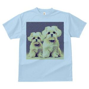 }`[Y TVc  j[NfUCfB[X t@  t vg lJWA 킢 lԗp Mtg I ҏ΍ }`[Y