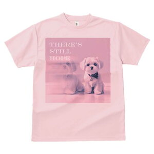 }`[Y TVc  j[NfUCfB[X t@  t vg lJWA 킢 lԗp Mtg I ҏ΍ }`[Y