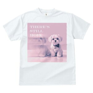 }`[Y TVc  j[NfUCfB[X t@  t vg lJWA 킢 lԗp Mtg I ҏ΍ }`[Y