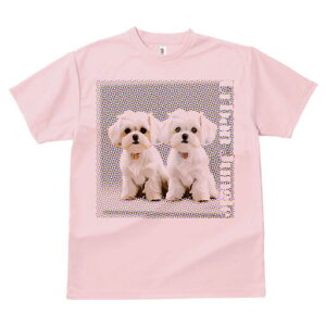 }`[Y TVc  j[NfUCfB[X t@  t vg lJWA 킢 lԗp Mtg I ҏ΍ }`[Y