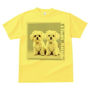 }`[Y TVc  j[NfUCfB[X t@  t vg lJWA 킢 lԗp Mtg I ҏ΍ }`[Y