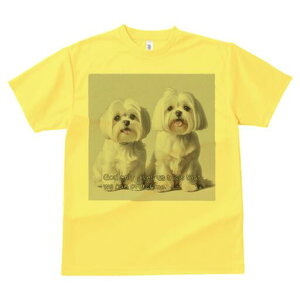 }`[Y TVc  j[NfUCfB[X t@  t vg lJWA 킢 lԗp Mtg I ҏ΍ }`[Y