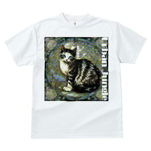 TVc  j[NfUCfB[X t@  t vg lJWA 킢 lԗp Mtg I ҏ΍ L 킢 t@bV