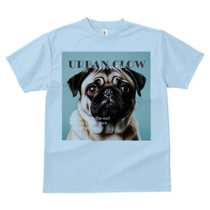 pO TVc  j[NfUCfB[X t@  t vg lJWA 킢 lԗp Mtg I ҏ΍  pO 킢  fUC