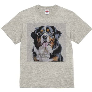 o[j[Y}EehbO TVc  j[NfUCY LbY t@  t vg lJWA 킢 lԗp Mtg I ҏ΍ Kl o[j[Y}E