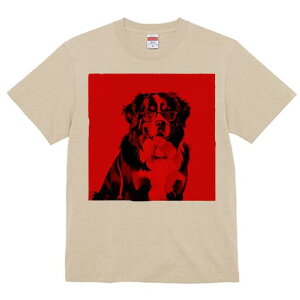 o[j[Y}EehbO TVc  j[NfUCfB[X t@  t vg lJWA 킢 lԗp Mtg I ҏ΍ Kl o[j[Y}Ee