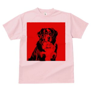 o[j[Y}EehbO TVc  j[NfUCfB[X t@  t vg lJWA 킢 lԗp Mtg I ҏ΍ Kl o[j[Y}Ee