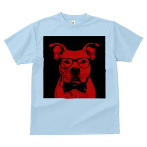 AJsbgueA TVc  j[NfUCfB[X t@  t vg lJWA 킢 lԗp Mtg I ҏ΍ Kl AJsbgu