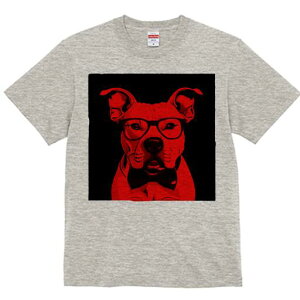 AJsbgueA TVc  j[NfUCfB[X t@  t vg lJWA 킢 lԗp Mtg I ҏ΍ Kl AJsbgu