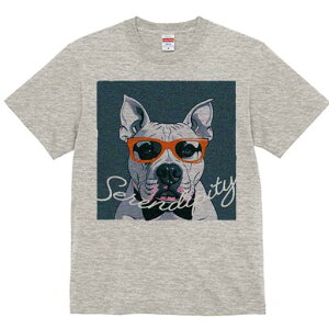 AJsbgueA TVc  j[NfUCfB[X t@  t vg lJWA 킢 lԗp Mtg I ҏ΍ Kl AJsbgu