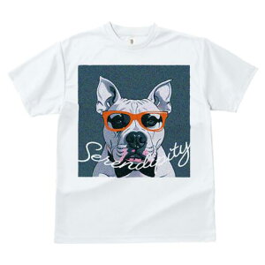 AJsbgueA TVc  j[NfUCY LbY t@  t vg lJWA 킢 lԗp Mtg I ҏ΍ Kl AJsbg