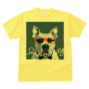 AJsbgueA TVc  j[NfUCfB[X t@  t vg lJWA 킢 lԗp Mtg I ҏ΍ Kl AJsbgu