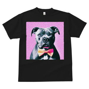 AJsbgueA TVc  j[NfUCfB[X t@  t vg lJWA 킢 lԗp Mtg I ҏ΍ lN^C AJsbg