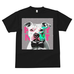 AJsbgueA TVc  j[NfUCfB[X t@  t vg lJWA 킢 lԗp Mtg I ҏ΍ lN^C AJsbg