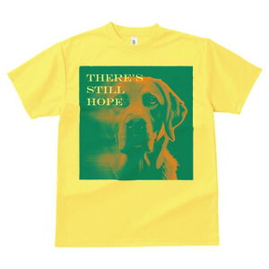 S[fgo[ TVc  j[NfUCfB[X t@  t vg lJWA 킢 lԗp Mtg I ҏ΍ S[fgo[