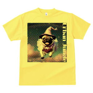 pO TVc  j[NfUCfB[X t@  t vg lJWA 킢 lԗp Mtg I ҏ΍ Xq pO t