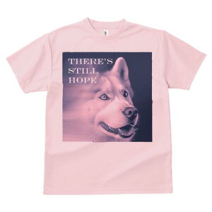 nXL[ TVc  j[NfUCfB[X t@  t vg lJWA 킢 lԗp Mtg I ҏ΍ nXL[