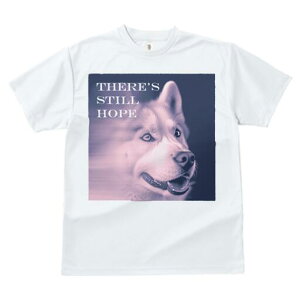 nXL[ TVc  j[NfUCfB[X t@  t vg lJWA 킢 lԗp Mtg I ҏ΍ nXL[