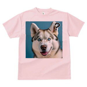 nXL[ TVc  j[NfUCfB[X t@  t vg lJWA 킢 lԗp Mtg I ҏ΍ ^╄ nXL[