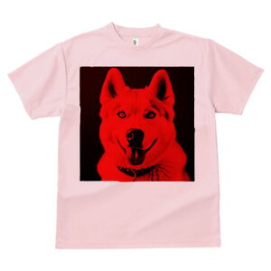 VxAnXL[ TVc  j[NfUCfB[X t@  t vg lJWA 킢 lԗp Mtg I ҏ΍ VxAnXL[