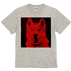 VxAnXL[ TVc  j[NfUCfB[X t@  t vg lJWA 킢 lԗp Mtg I ҏ΍ VxAnXL[