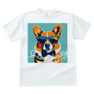 R[M[ TVc  j[NfUCfB[X t@  t vg lJWA 킢 lԗp Mtg I ҏ΍ TOX R[M[ lN^C