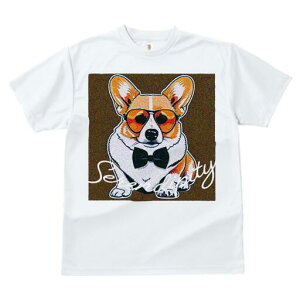 R[M[ TVc  j[NfUCfB[X t@  t vg lJWA 킢 lԗp Mtg I ҏ΍ TOX R[M[ lN^C