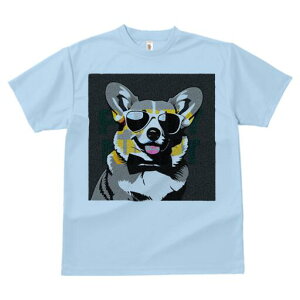 R[M[ TVc  j[NfUCfB[X t@  t vg lJWA 킢 lԗp Mtg I ҏ΍ TOX R[M[ lN^C