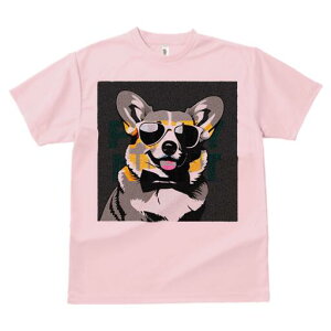 R[M[ TVc  j[NfUCfB[X t@  t vg lJWA 킢 lԗp Mtg I ҏ΍ TOX R[M[ lN^C