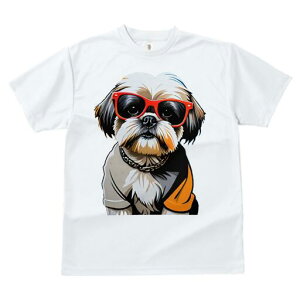 V[Y[ TVc  j[NfUCY LbY t@  t vg lJWA 킢 lԗp Mtg I ҏ΍ TOX V[Y[ lbNX